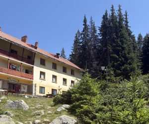 IMG_9657