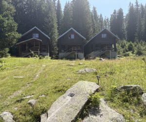 IMG_9659