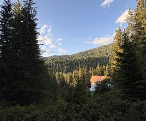 IMG_9768