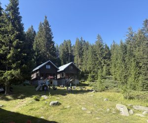 IMG_9979